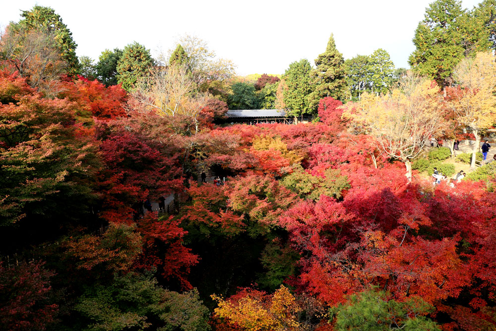 永遠のモダンがここに！重森三玲の東福寺 方丈庭園を歩く   京都